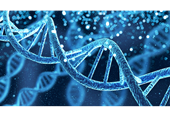 Gene Image Homepage